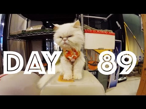 CAT CAFE !!! | Day 89